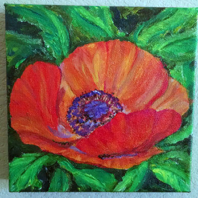 Orange Poppy