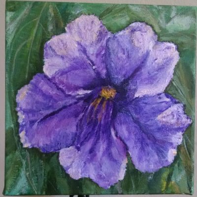 Desert Purple