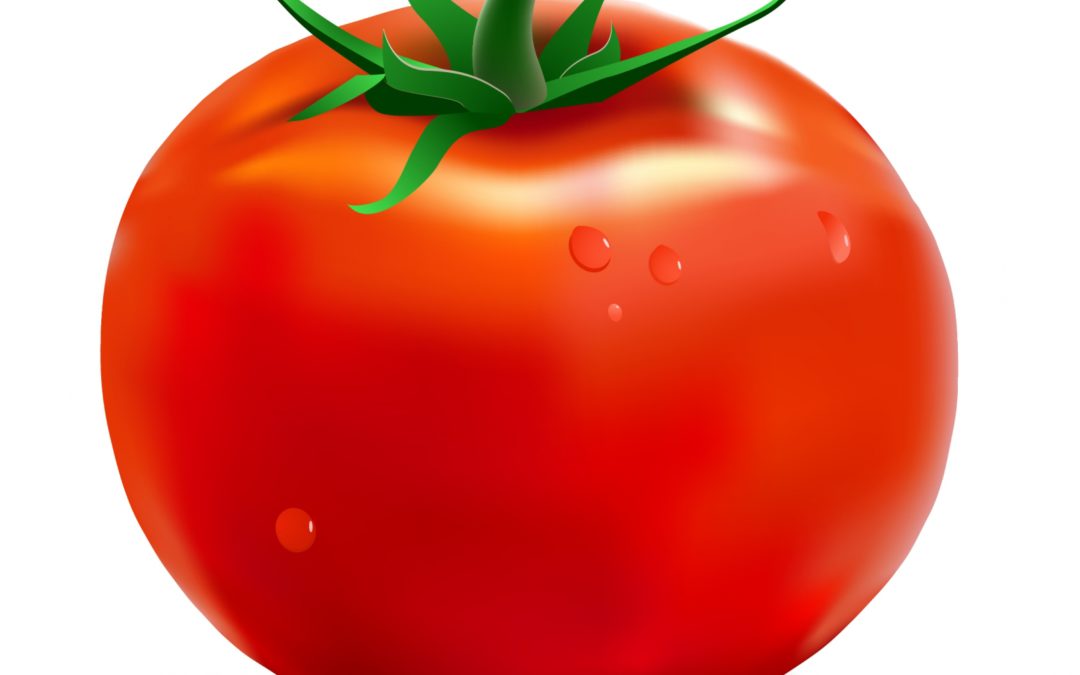 tomato