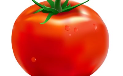 The Center Slice of the Tomato