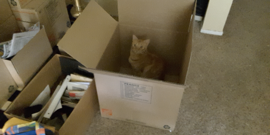 The “Maybe” Moving Chronicles – Prelude